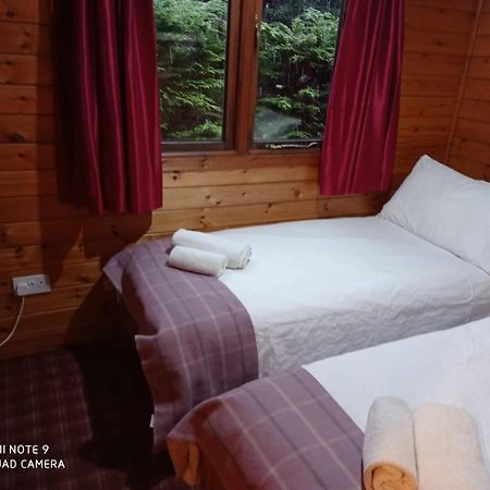 Lurchers Cabin Aviemore Exteriér fotografie